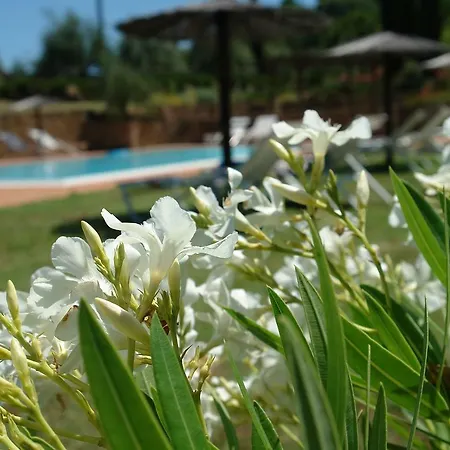 Lejlighed Pie Di Costa