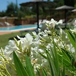 Apartamento Pie Di Costa