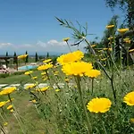 Pie Di Costa